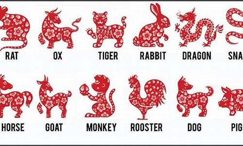 生肖属牛的英语翻译-生肖牛的英语怎么读