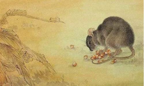 属鼠肖最旺什么生肖-鼠最旺的生肖