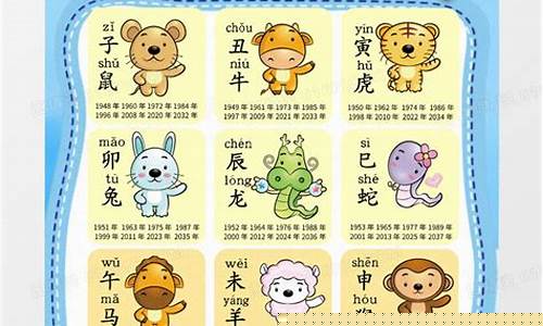 十二生肖最新模板属猪-十二生肖猪吧