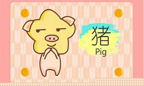属猪的活神仙是什么生肖-生肖猪有什么说法