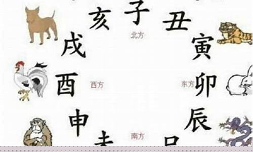 属猪生肖生个虎仔好吗-属猪生肖生个虎仔好吗女