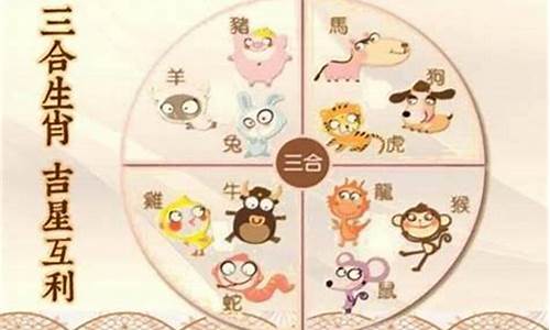 生肖兔和属鼠合吗-生肖兔和生肖鼠相克吗