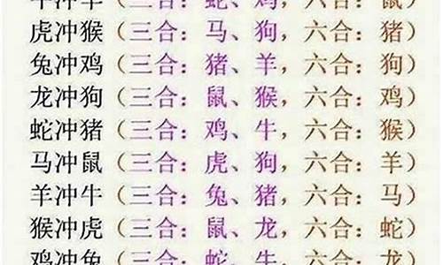 属马三合生肖属什么-属马的三合是