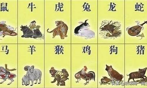 猛如虎属什么生肖-猛如虎是什么生肖