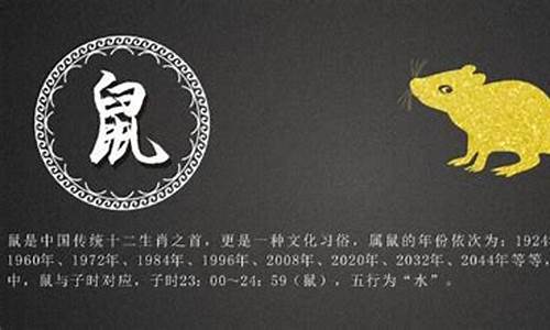 属猪后面一个生肖是什么-生肖猪后面是什么生肖