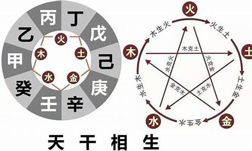 与属虎相刑相克的生肖有-与属虎相克的属相