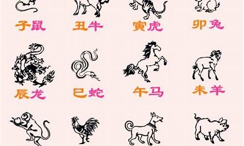 属牛和虎哪个生肖最好-属牛和属虎谁好