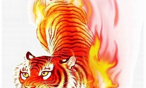 生肖属虎时辰属猴的含义-生肖属虎时辰属猴的含义