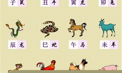 比95属猪大8岁生肖-比属猪大八岁是什么属相