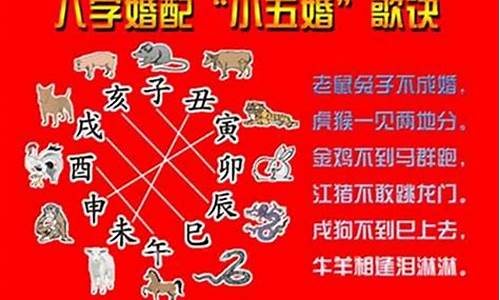 生肖属虎可以选7楼吗-生肖虎的人适合买几楼