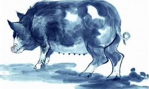 属猪的最怕什么生肖-属猪生肖最怕什么