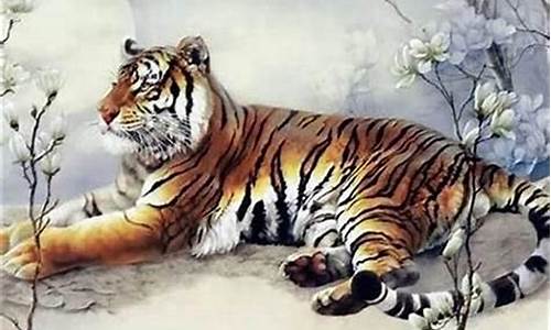 属虎的小人属什么生肖-属虎的小人属相