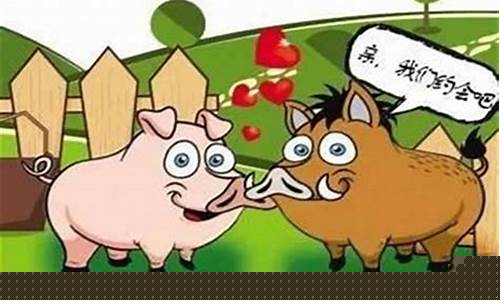属猪的合合生肖好不好呀-属猪与属什么合