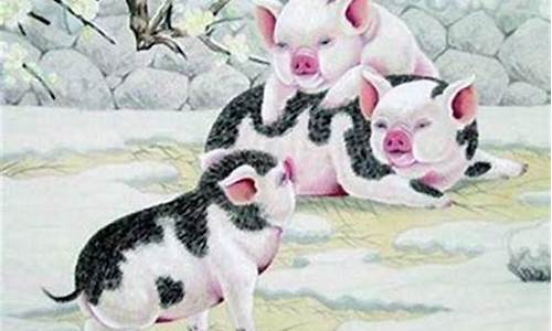 属猪的跟什么生肖最合婚-属猪和什么生肖婚配最好