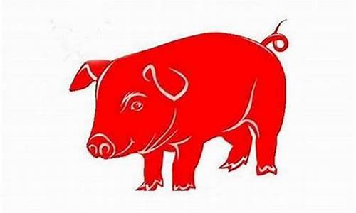 属猪跟适合结婚的生肖有哪些-属猪跟适合结婚的生肖
