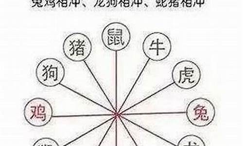 属鼠的和什么结婚-属鼠结婚生肖相冲