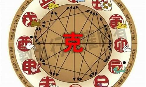 属猪属于五行的什么生肖-属猪的五行属什么属性