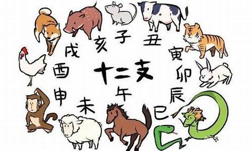 生肖属鼠的可以养猪吗-生肖属鼠的可以养猪吗