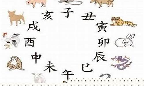 属猪生肖与蛇相冲吗-属猪和属蛇的相冲解法生肖是哪个