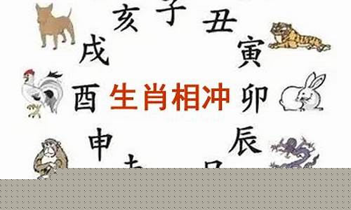 属猪和什么生肖相冲相克呢-属猪和什么属相克
