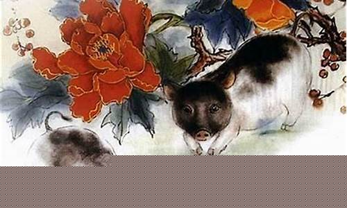 属猪的孩子旺什么生肖-属猪的宝宝有福气吗