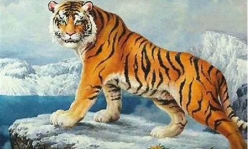 属猴和属虎带什么生肖-属猴和属虎带什么生肖最好
