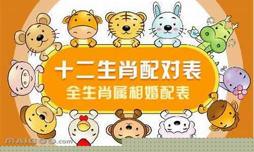 生肖马配属猪婚姻如何-属相马猪婚配