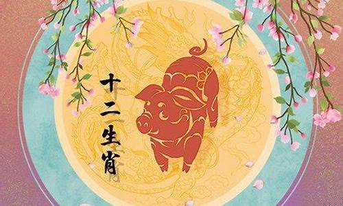 12生肖属猪的多大了啊-12生肖猪几岁