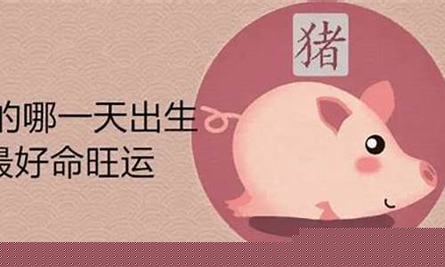 生肖属猪的宝宝起名大全-属猪宝宝名字大全