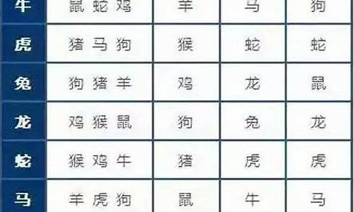 属猪和什么生肖配对-属猪和什么生肖配对最好