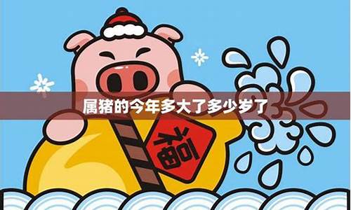 生肖属猪在猪年的运程-属猪人猪年运势如何