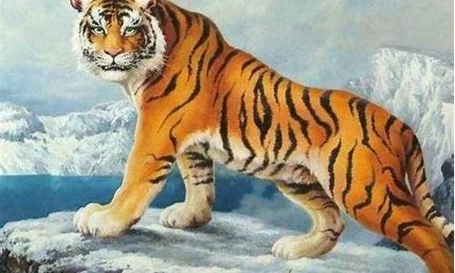 属虎的人和什么生肖-1998年属虎的是什么命