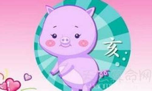 属猪的本命年找什么生肖-属猪本命年佩戴什么生肖