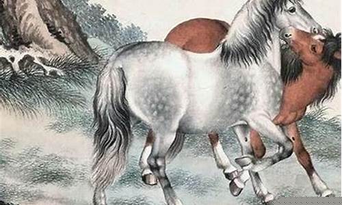 属马生肖取名吉凶部首-属马取什么偏旁的比较好