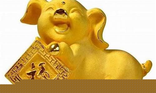 生肖属猪未来财运如何呢-属猪未来十年财运
