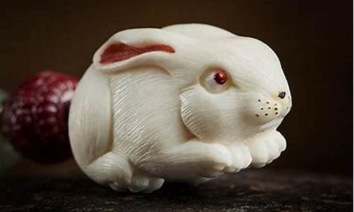 兔年属鼠注意什么生肖呢-鼠年属兔人的吉祥物