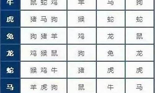 十二生肖属猪生肖配对表-十二生肖猪的配对