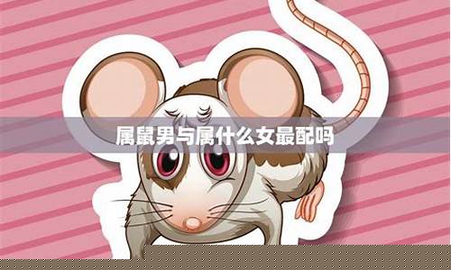 属鼠十二生肖配对程度-十二生肖属鼠的和什么最配