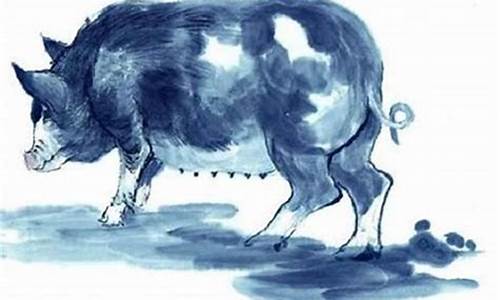 属猪相配什么生肖-属猪相配什么生肖最好