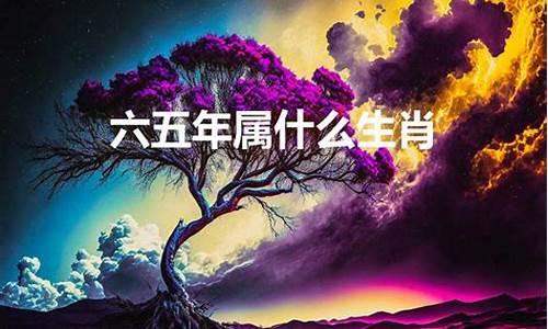 马彦宏老婆-马彦宏属什么生肖