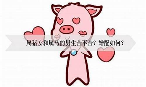 生肖虎和属猪能相配吗-生肖虎和猪相配好吗