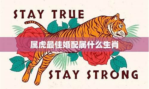 生肖属虎适合婚配-生肖属虎适合婚配吗