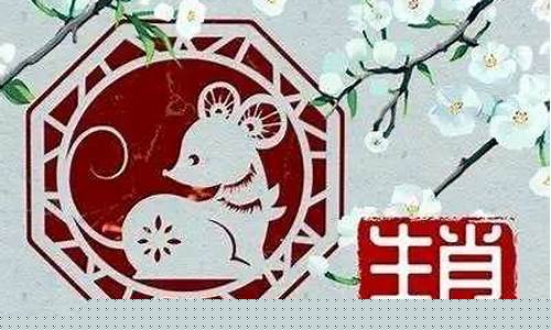 属鼠运势2021年运势12生肖-属鼠的生肖运势详解
