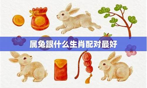 属鼠的跟属兔子的配吗-生肖属鼠跟兔适合吗